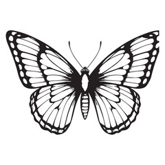 Black and White Butterfly Vector Illustration – Detailed Insect Silhouette Design