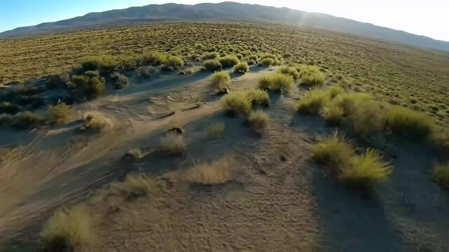 Aerial view capturing the vast and textured landscape of Yuma Desert during golden hour, Aerial view of Yuma Desert