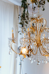 Elegant golden chandelier adorned with crystals and greenery in bright room