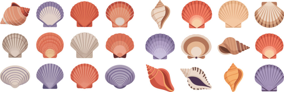  collection of seashells. Various types and colors of shells are depicted. They are painted in a watercolor style.