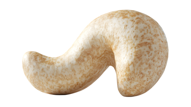 Isolated cashew nut image for healthy snack food concept and vegan diet ingredient photography on transparent background