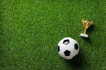 A soccer ball and golden trophy on a green field. High quality photo