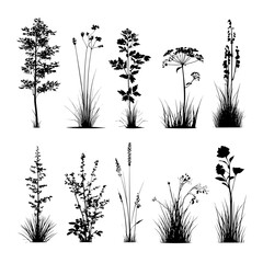 Naklejka na ściany i meble Collection of bush grass shrub herb silhouette with modern transparent background