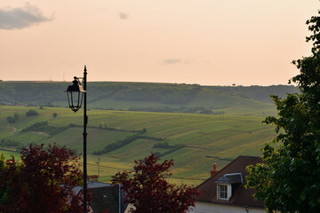 Sancerre, France. Vineyards at Sunset Viewed from a Hilltop. June 8, 2025.