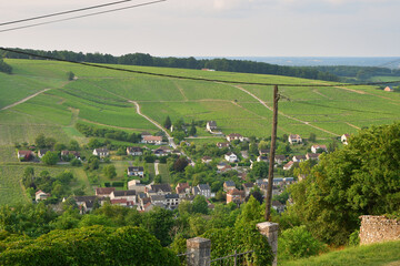 Sancerre, France. Vineyards at Sunset Viewed from a Hilltop. June 8, 2025.