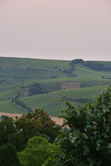 Sancerre, France. Vineyards at Sunset Viewed from a Hilltop. June 8, 2025.
