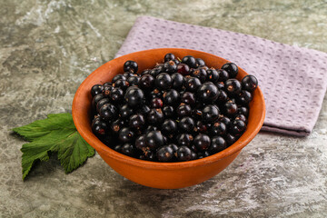 Ripe black currant in the bowl