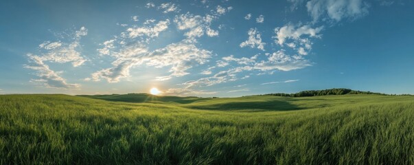 Panoramic view of a vibrant green field under a cloudy sky at sunset