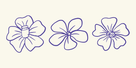 Single Flower Head Variants in Minimal and Organic Botanical Style. Vector art illustration isolated transparent background