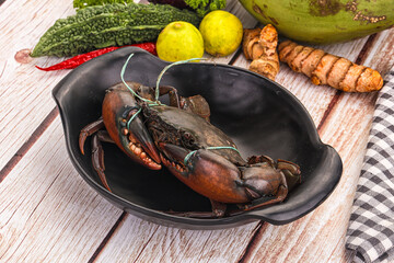 Wild raw crab for cooking