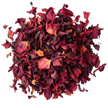 Whole dried hibiscus petals used in teas, scattered, isolated PNG with transparent background