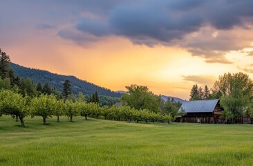 Scenic Landscape of a Farm with Trees and Old Barn at Sunset in Montana