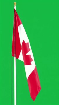 Canadian Flag Waving High-Quality Green Screen Footage for Video Projects