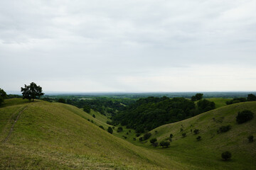 Fototapeta premium Grassy hill slope in Zagajicka Brda under soft light, with layers of hills fading into the distance and forests filling the valleys. Serbia country in spring season