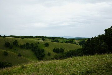 Fototapeta premium Grassy hill slope in Zagajicka Brda under soft light, with layers of hills fading into the distance and forests filling the valleys. Serbia country in spring season