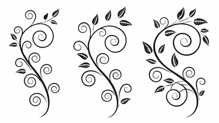Elegant vintage black and white floral scroll ornaments set, decorative flourish design elements with leaves