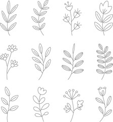 Fototapeta premium Twelve simple line drawings of botanical elements