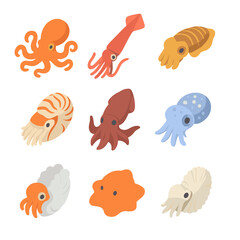 Naklejka premium Cephalopod Icon Grid. Isometric Flat icon set of cephalopods: common octopus, giant squid, cuttlefish, nautilus, vampire squid,