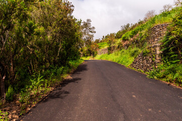 Carretera en la Corujera, Isla de Tenerife.