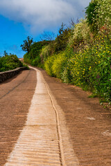 Carretera en la Corujera, Isla de Tenerife.