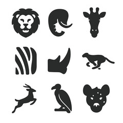 Obraz premium Savanna Wildlife Icons. Solid, filled icons set of African savanna wildlife: lion icon, elephant trunk,