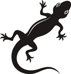 lizard on a white background