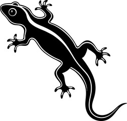 lizard on white background