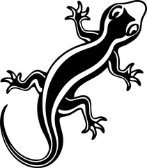 lizard on a white background