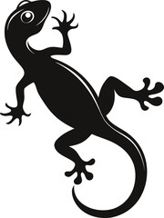 lizard on a white background