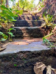 Weathered stone steps ascend through lush green foliage, inviting a journey into a tranquil, natural, and perhaps ancient, outdoor environment.