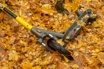 A public electric scooter lies in the forest between the leaves. Abandoned scooter in an autumn park.