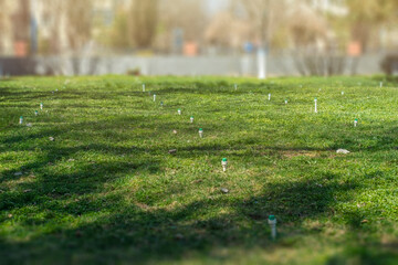 Turned off sprinklers of the irrigation system on the lawn.