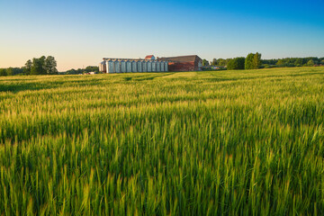 grain warehouse with barley field © Kaspars