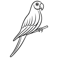Fototapeta premium parrot, animal, vector, transparent background, beak, colorful, feather, tropical, zoo, wildlife, nature, exotic, isolated, jungle, feathers, colourful, bright, pet, biology, psittaciformes, cute