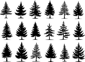 Fototapeta premium mountain pine tree forest vector bundle
