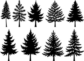 Fototapeta premium mountain pine tree forest vector bundle