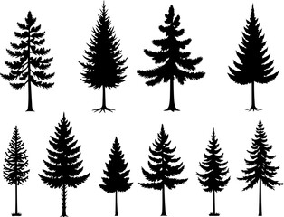 mountain  pine tree  forest  vector bundle