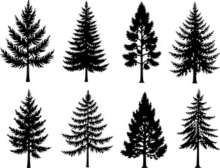 Obraz premium mountain pine tree forest vector bundle