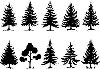 Obraz premium mountain pine tree forest vector bundle