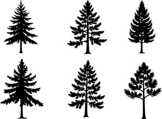 Obraz premium mountain pine tree forest vector bundle