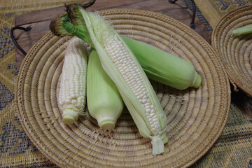 トウモロコシ、収穫のイメージ、夏野菜、白いトウモロコシの写真