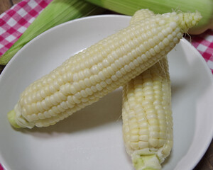 トウモロコシ、収穫のイメージ、夏野菜、白いトウモロコシの写真