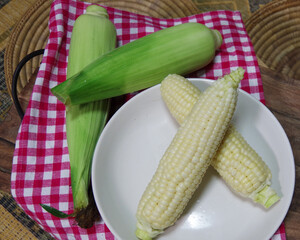 トウモロコシ、収穫のイメージ、夏野菜、白いトウモロコシの写真