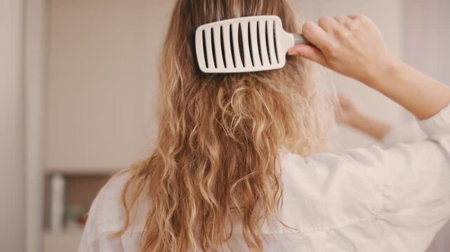 Beauty routine blonde woman combing her hair back rear view. Lady comb gets tangled difficulties combing curls. Girl strands brushing can't comb dry porous hair torn. combs breaks damages wavy hair