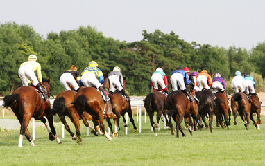 Horse racing at the racetrack with jockeys galloping backwards at full speed