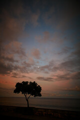 Madeira landscapes, desktop wallpaper, phone screensaver, 