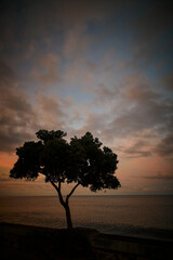 Madeira landscapes, desktop wallpaper, phone screensaver, 