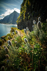 Madeira landscapes, desktop wallpaper, phone screensaver, 