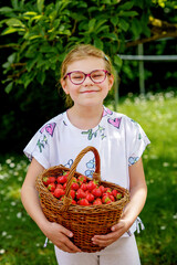 Happy little school girl holding a big basket full of ripe, sweet strawberries. Real life, real people moment of childhood joy and summer fun outdoors in nature.