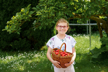 Happy little school girl holding a big basket full of ripe, sweet strawberries. Real life, real people moment of childhood joy and summer fun outdoors in nature.